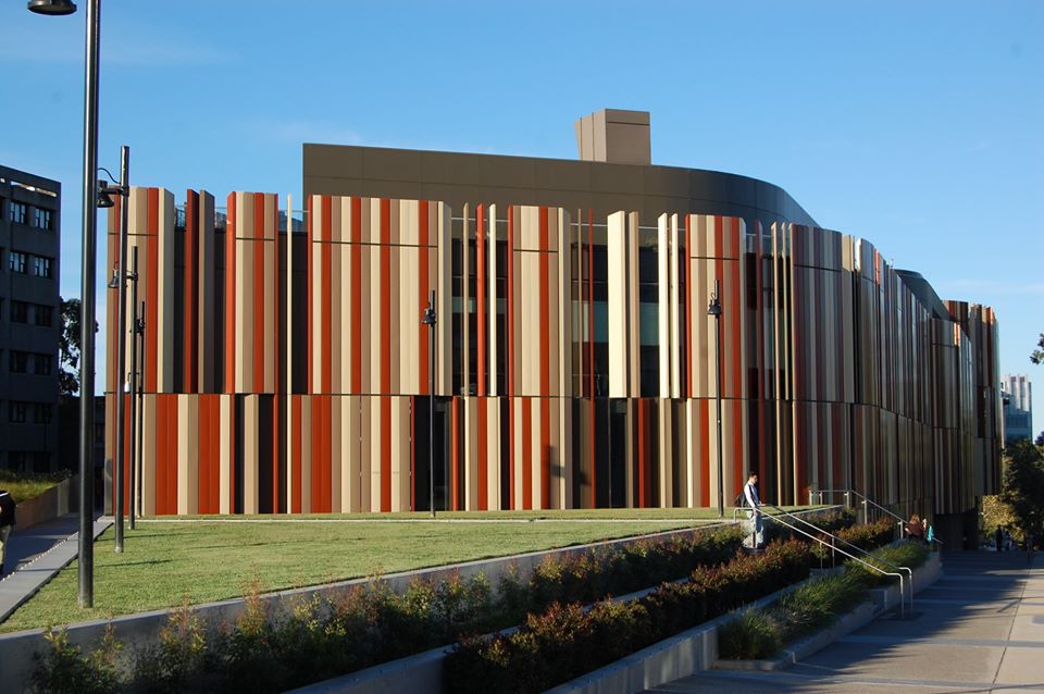 屈強な男たち「ワラビーズ」　VRゴーグルで脳震盪から守る