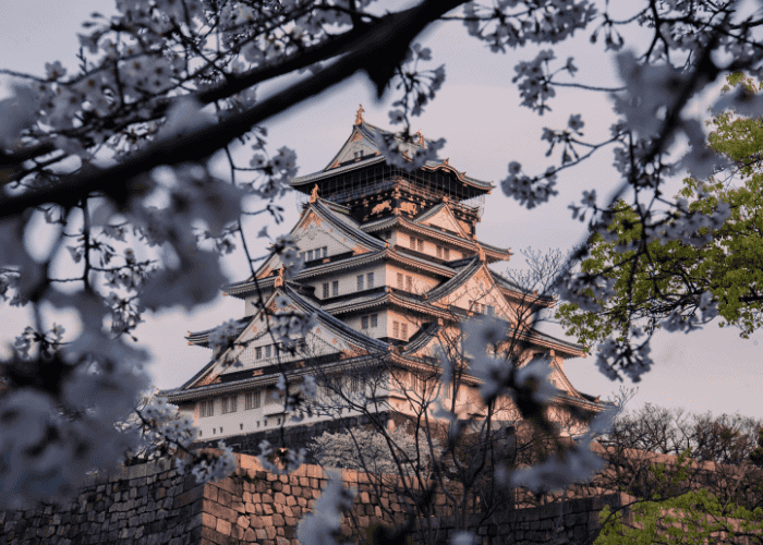 継続した評価を獲得！beo大阪カレッジが英国大学連盟（NCUK）2020年パートナーアワード候補に