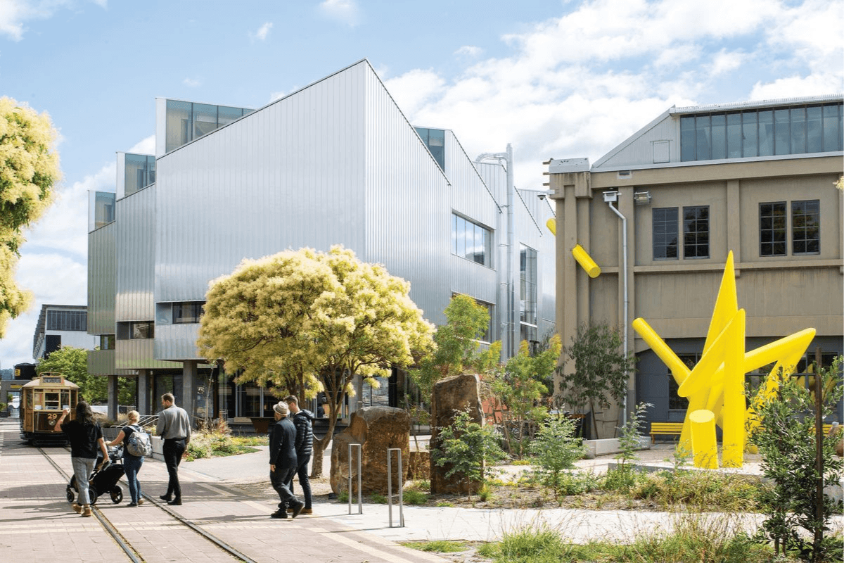 タスマニア大学