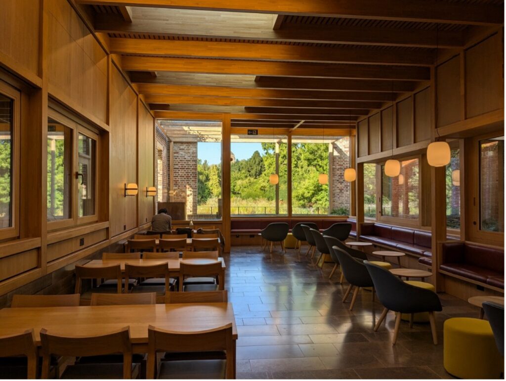 自然光が差し込むケンブリッジ大学のカフェテリア。木の温もりある内装と静かな雰囲気が特徴。